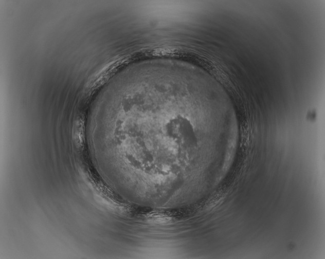 X0000115550648200911271435