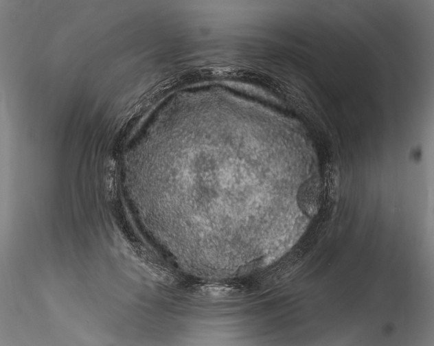 X0000115550650200911271435