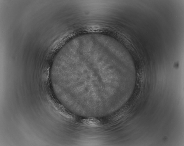 X0000115550652200911271435