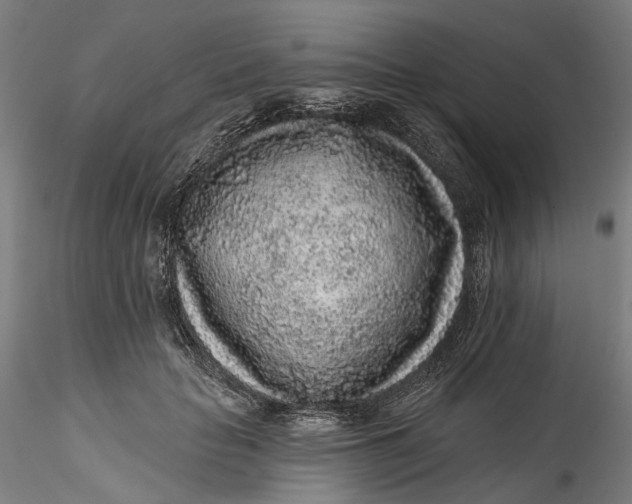 X0000115550653200911271435