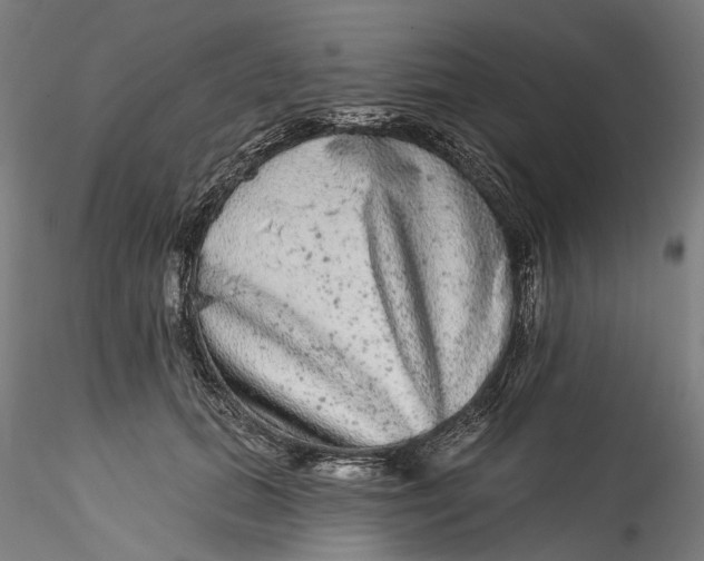 X0000115550655200911271435