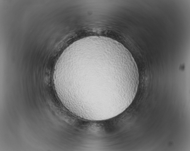 X0000115550656200911271435