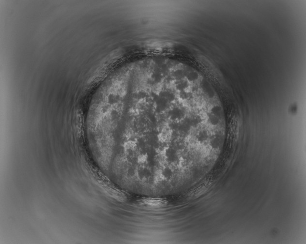 X0000115550659200911271435