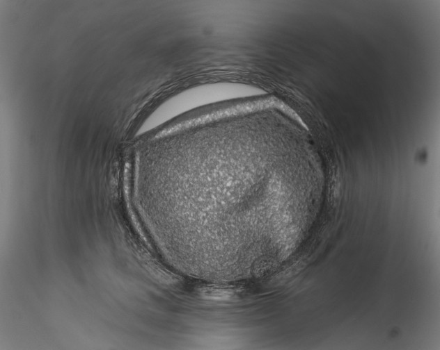 X0000115550661200911271435