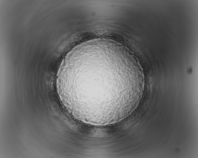 X0000115550664200911271435