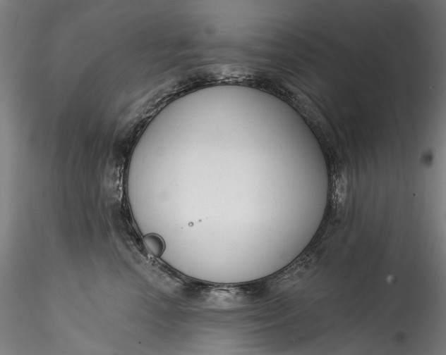 X0000115550666200911271435