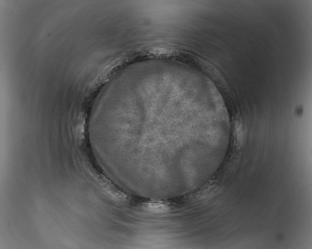 X0000115550668200911271435