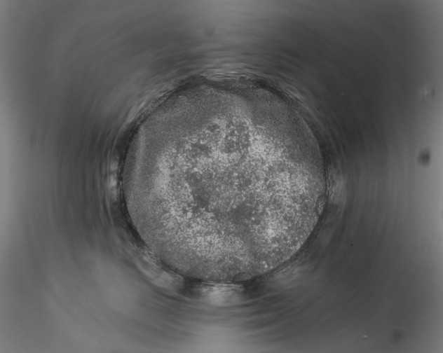 X0000115550670200911271435