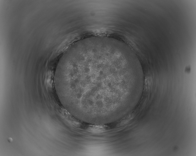 X0000115550671200911271435