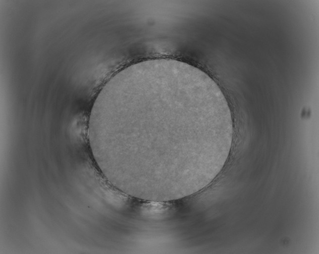 X0000115550672200911271435