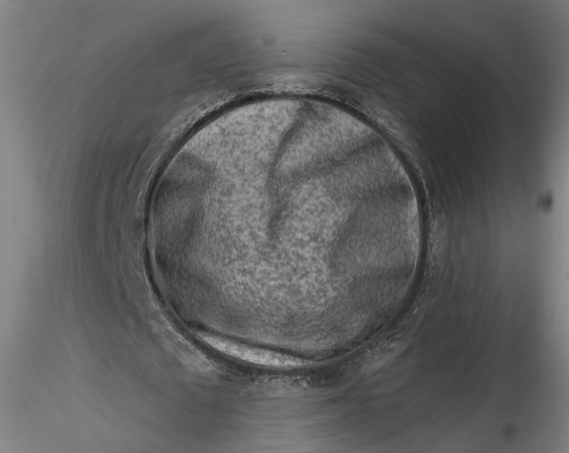 X0000115550673200911271434