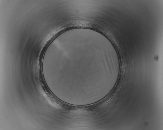 X0000115550674200911271434