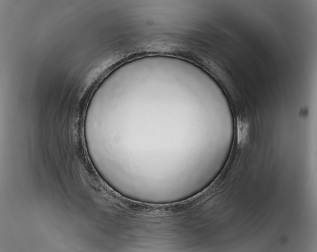 X0000115550675200911271434