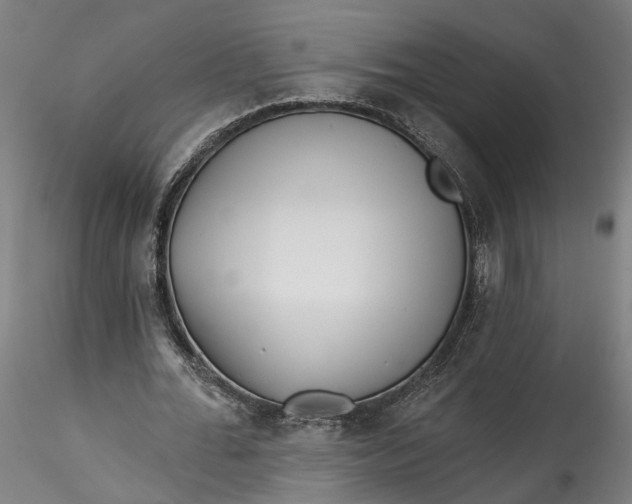 X0000115550676200911271434