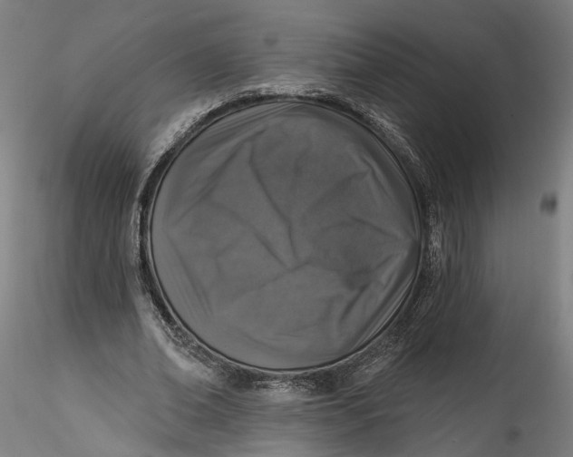 X0000115550678200911271434