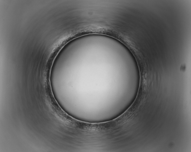 X0000115550679200911271434