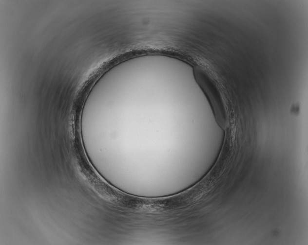 X0000115550680200911271434