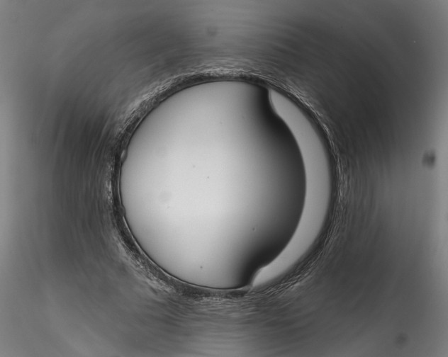 X0000115550681200911271434