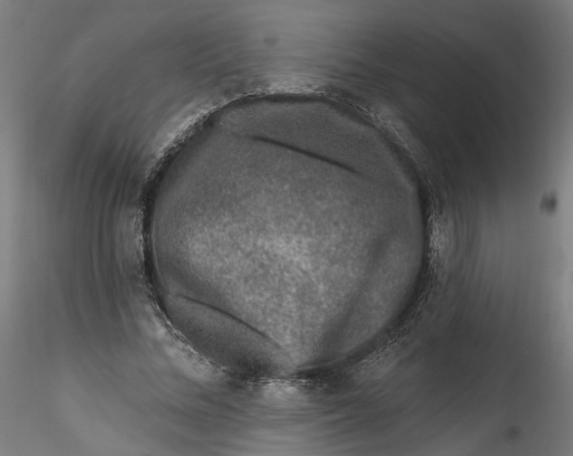 X0000115550684200911271434