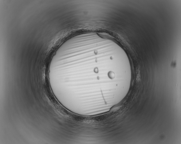 X0000115550685200911271434