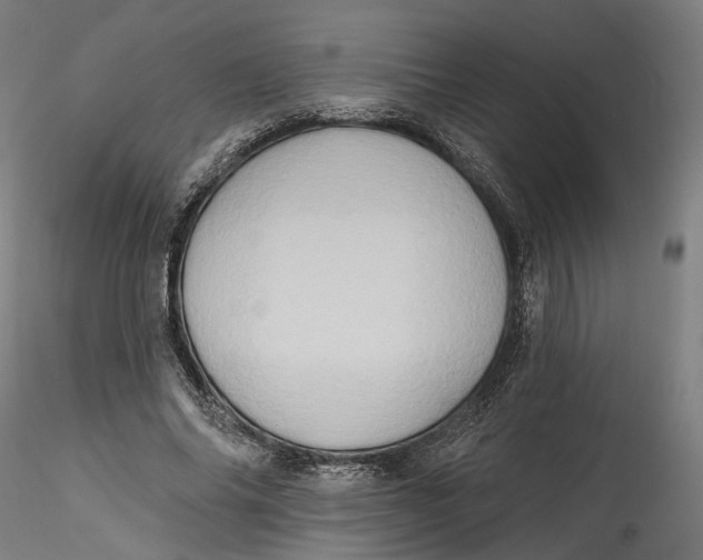 X0000115550686200911271434