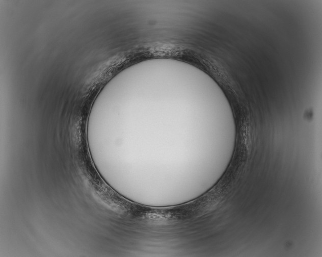 X0000115550690200911271434