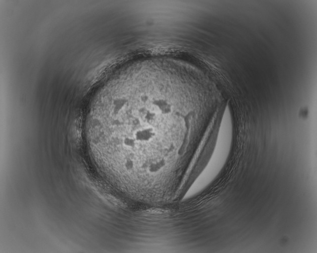 X0000115550691200911271434