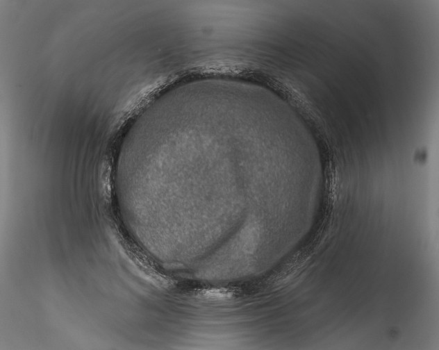 X0000115550692200911271434