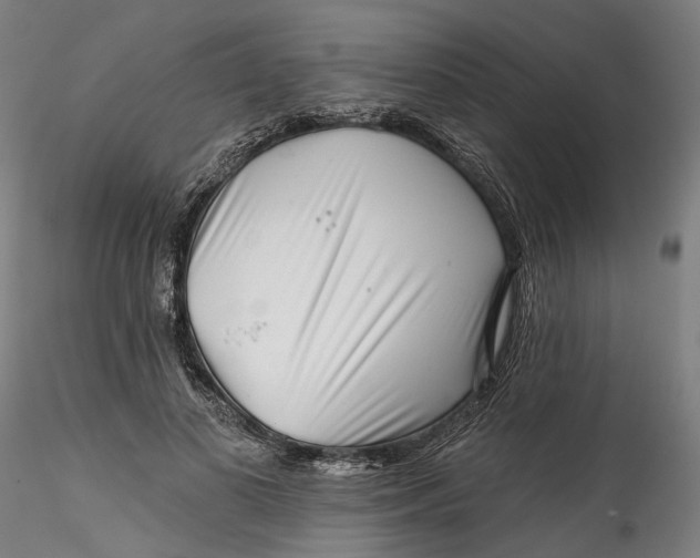 X0000115550693200911271434