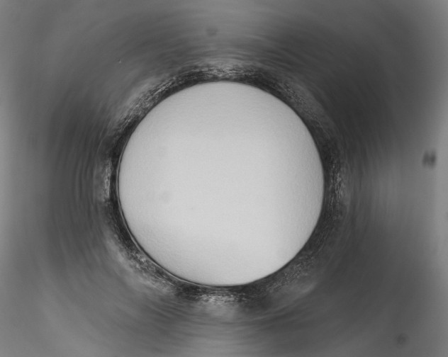 X0000115550694200911271434