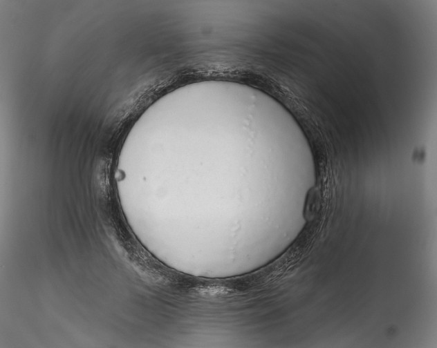 X0000115550695200911271434