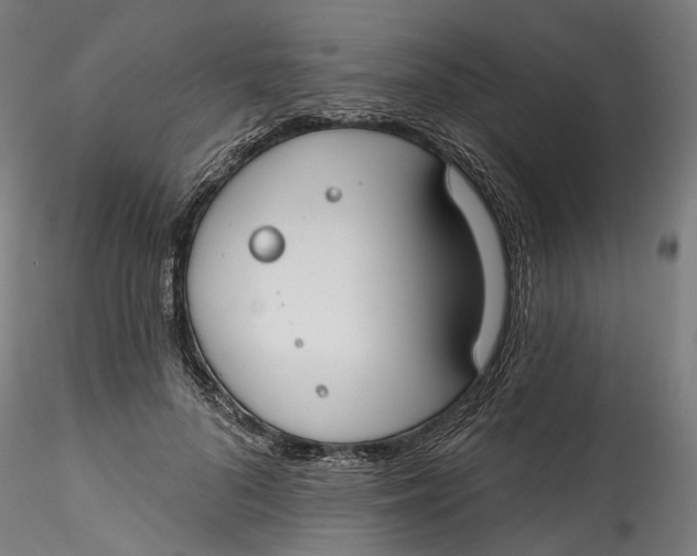 X0000115550696200911271434