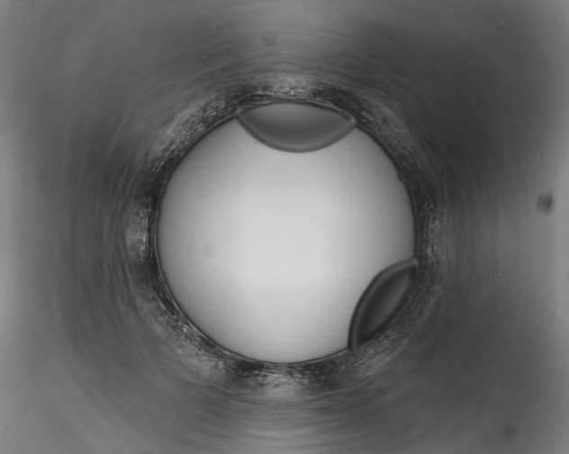 X0000115550697200911271434