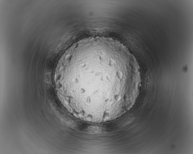 X0000115550699200911271434