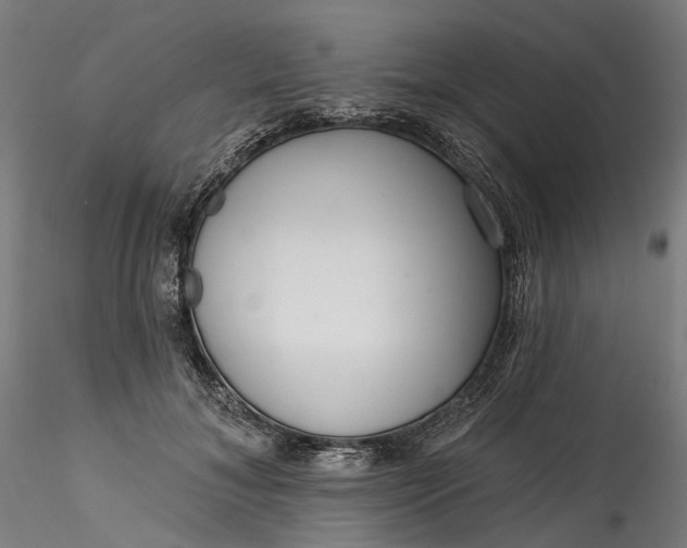 X0000115550700200911271434