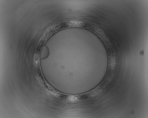 X0000115550701200911271434