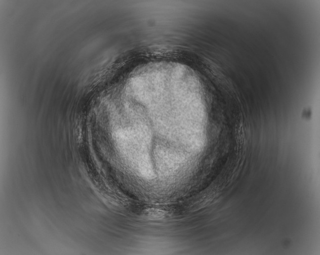 X0000115550703200911271434