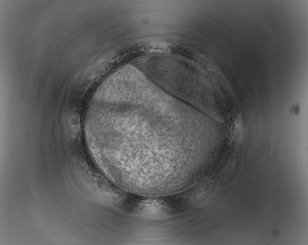 X0000115550704200911271434