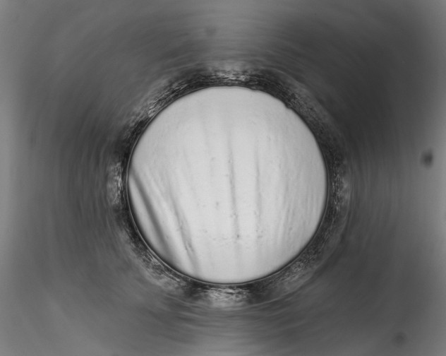 X0000115550707200911271434