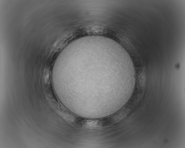 X0000115550709200911271434