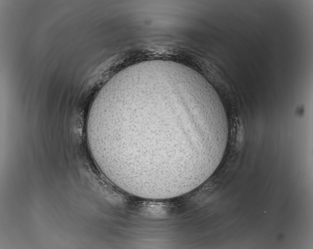 X0000115550710200911271434