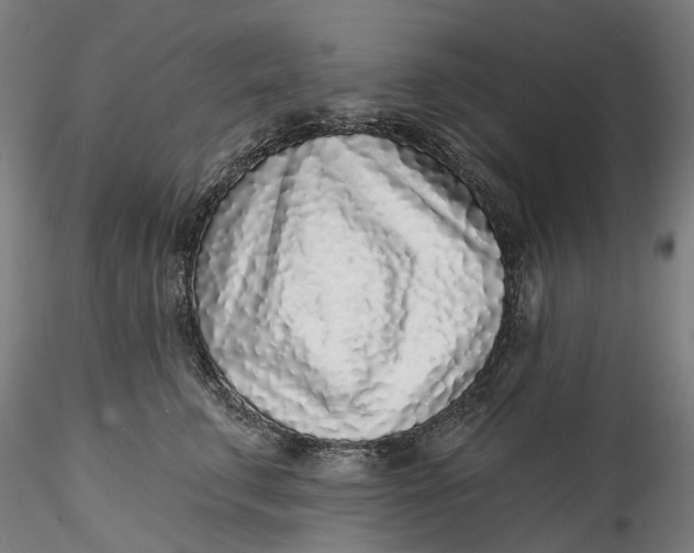 X0000115550711200911271434