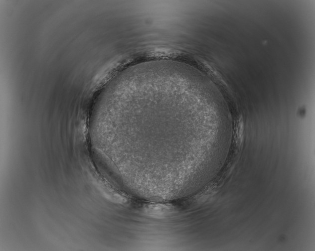 X0000115550716200911271433