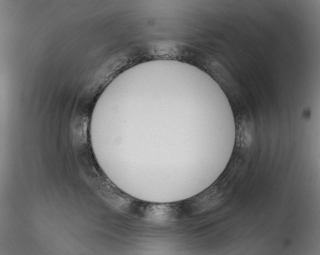 X0000115550717200911271433