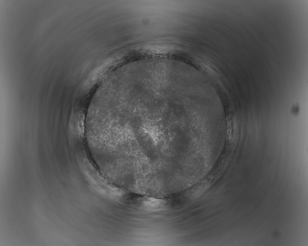 X0000115550718200911271433