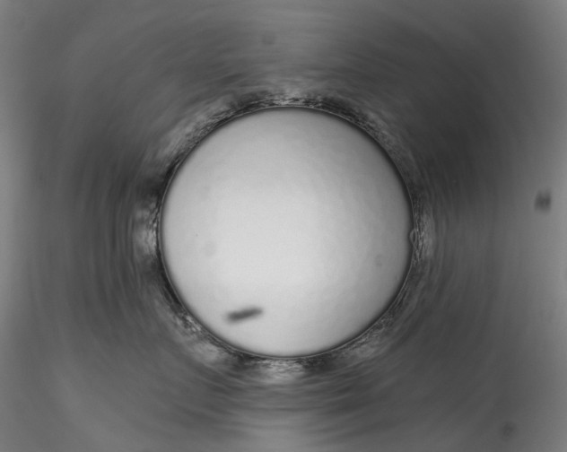 X0000115550719200911271433