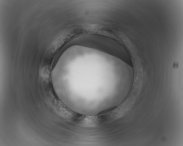 X0000115550720200911271433