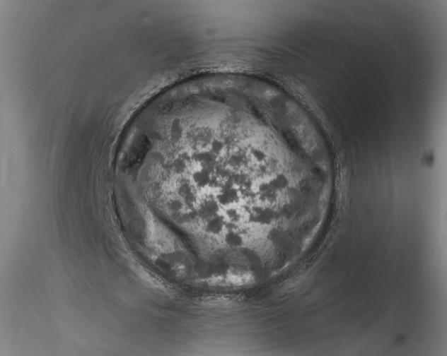 X0000115550721200911271433