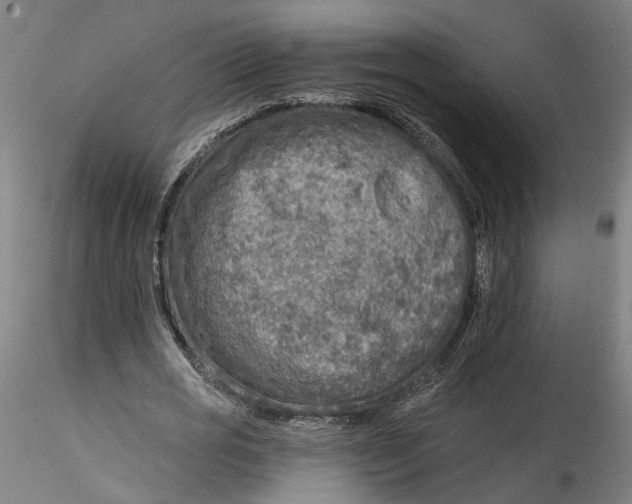 X0000115550725200911271433