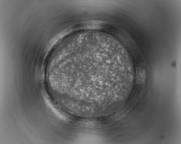 X0000115550726200911271433